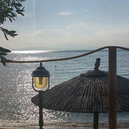 Akti Belvedere Color & Essence