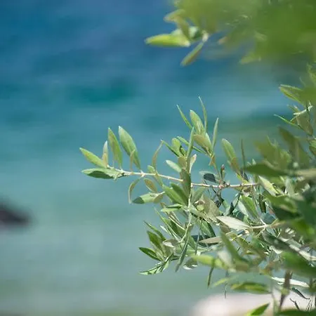 Apart-hotel Akti Belvedere Color & Essence