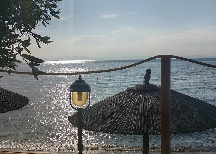 Akti Belvedere Color & Essence