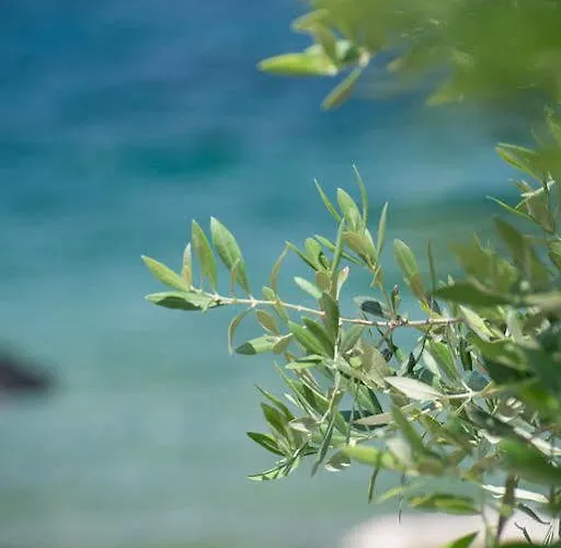 Apart Otel Akti Belvedere Color & Essence